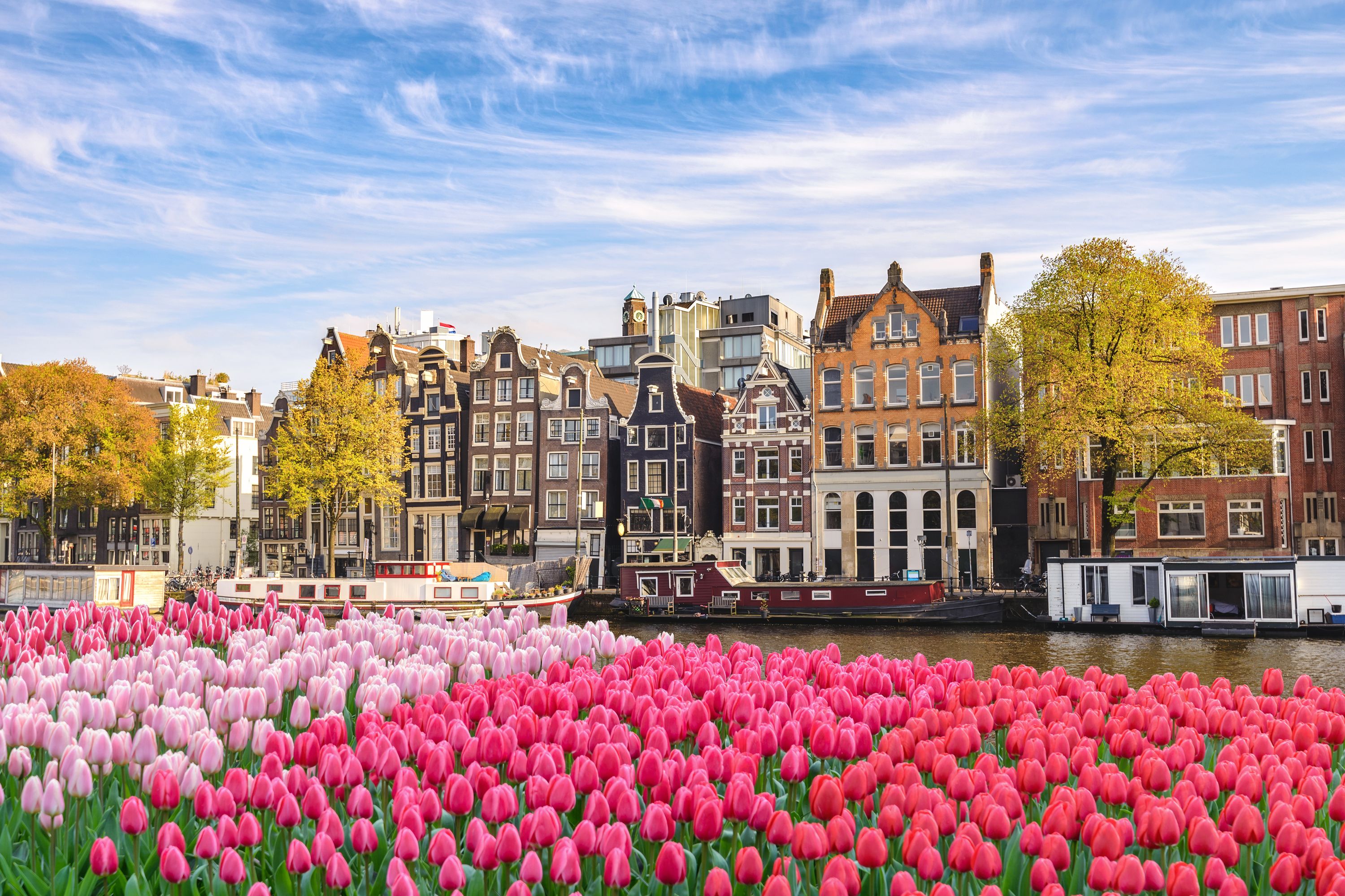Netherlands