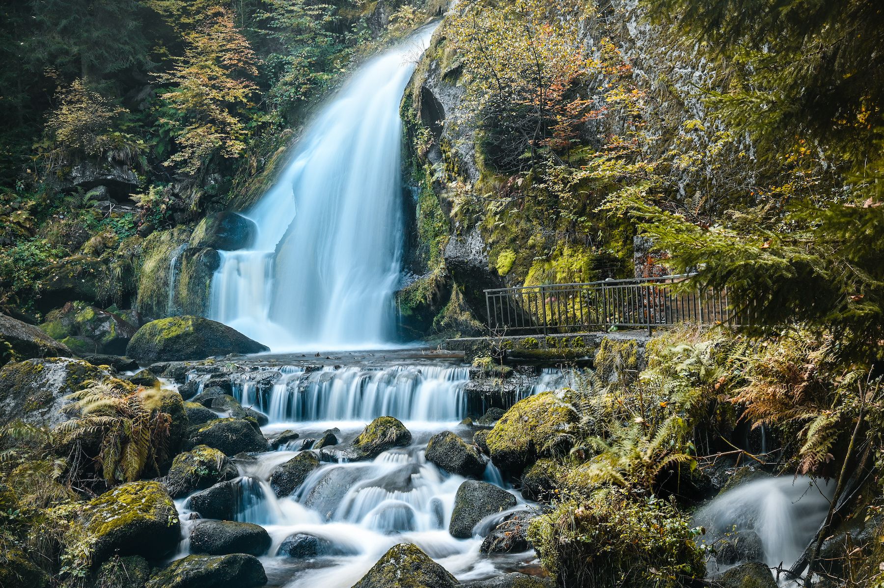 Private day trip from Frankfurt to Black Forest and Baden-Baden