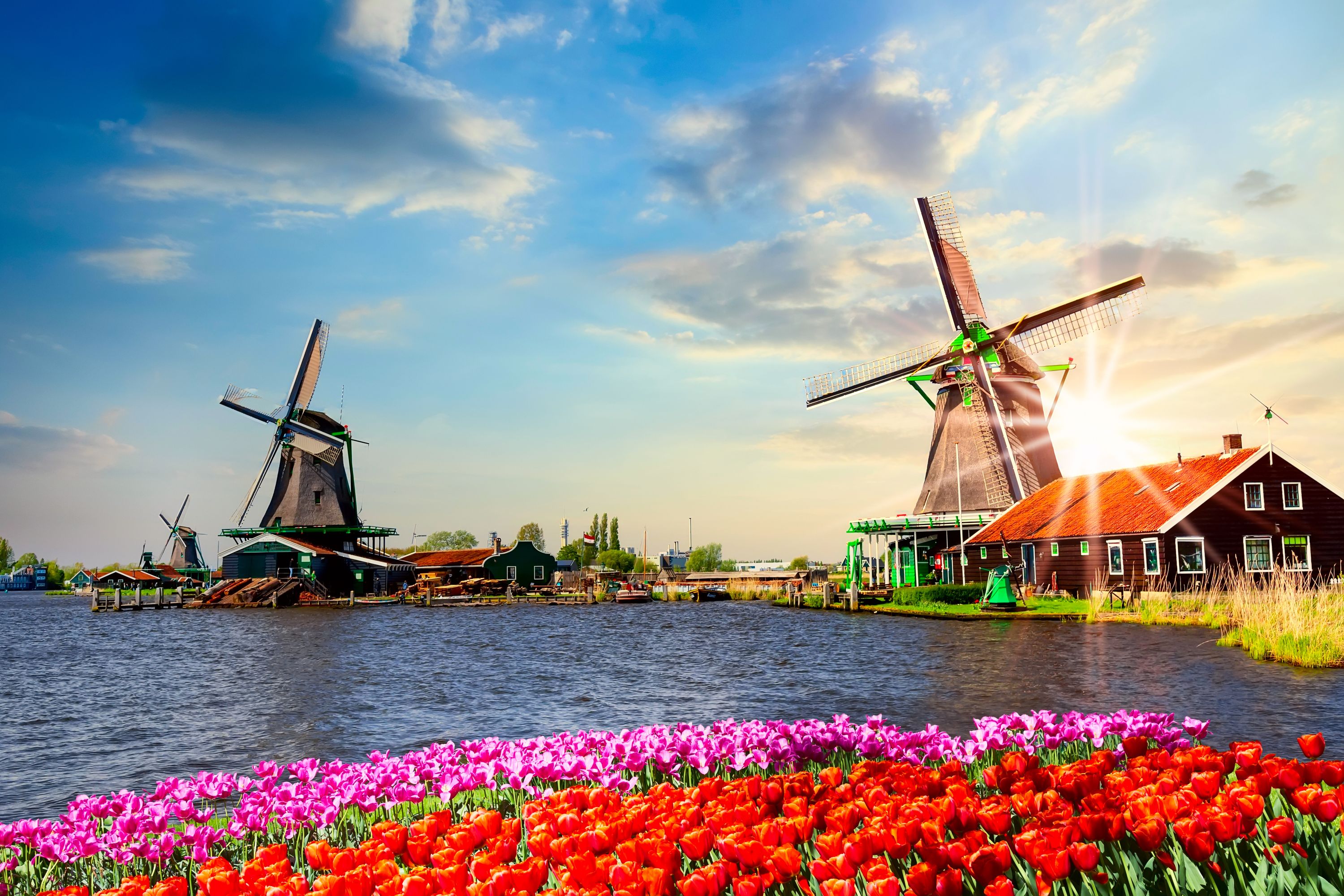 Private Day Trip from Amsterdam to Zaanse Schans