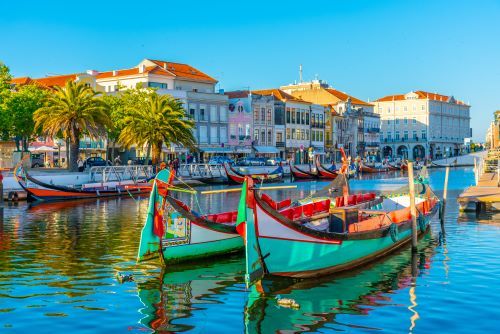Private day trip: from Porto to Aveiro, Vila Nova de Gaia