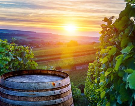 Rizman Winery