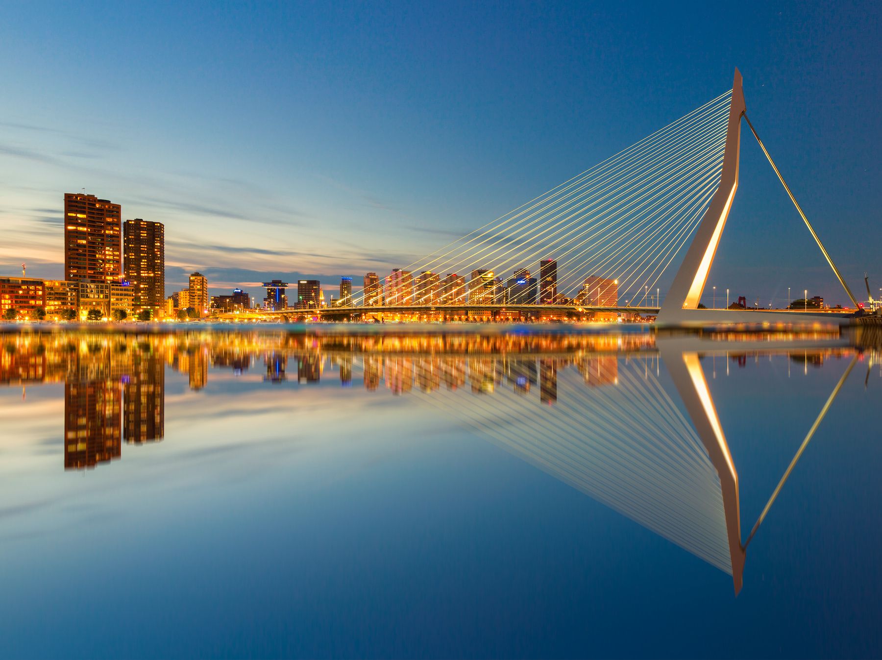 Amsterdam to Rotterdam Transfer