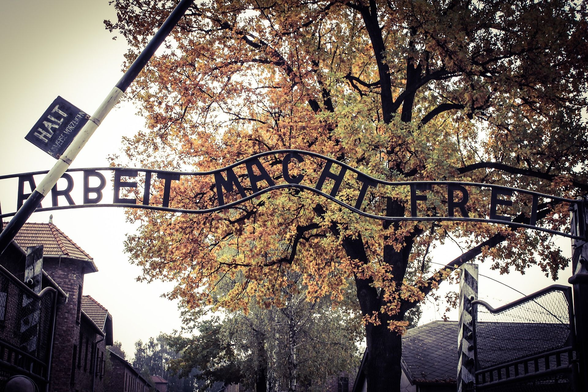 Auschwitz-Birkenau