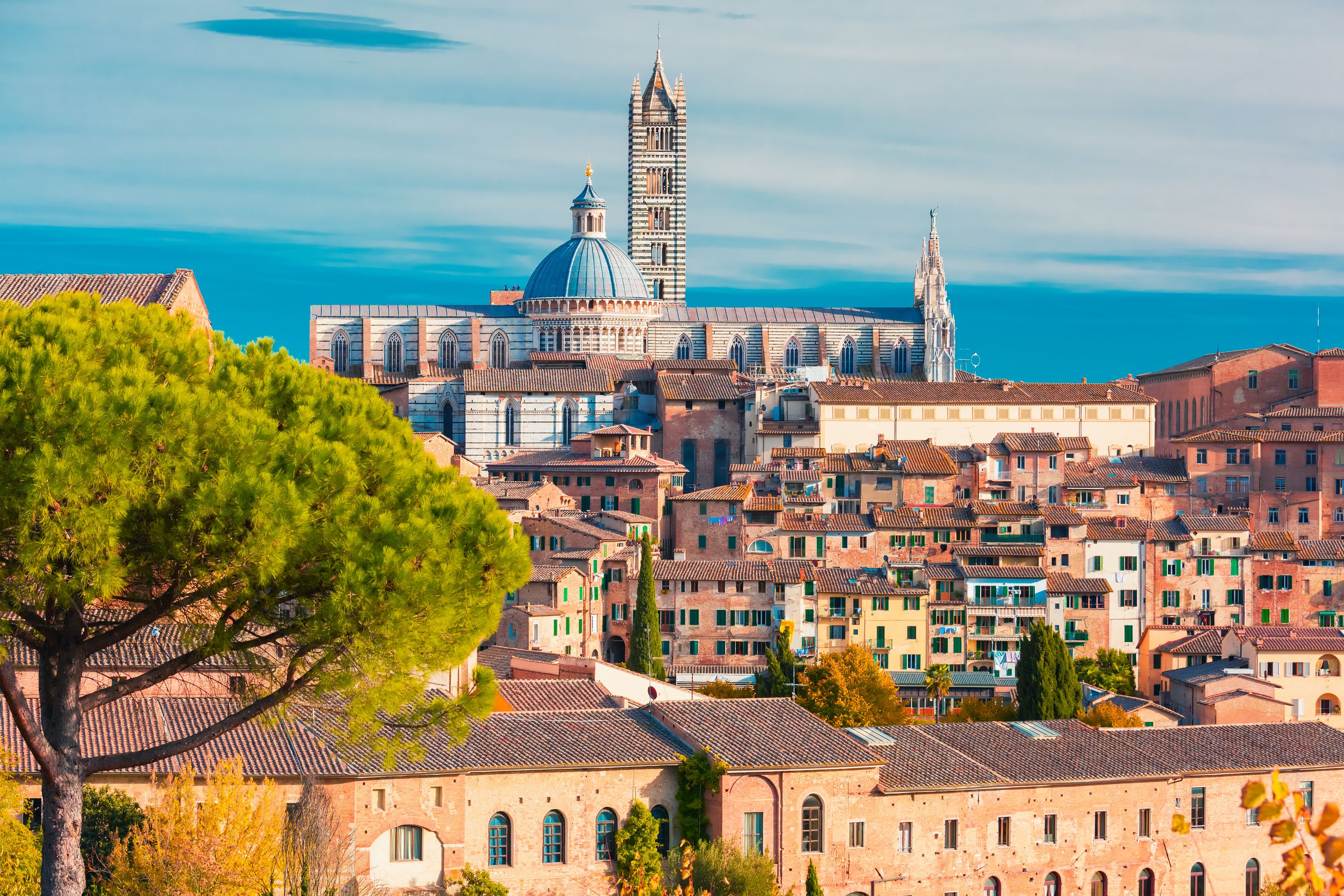 Florence to Rome Transfer